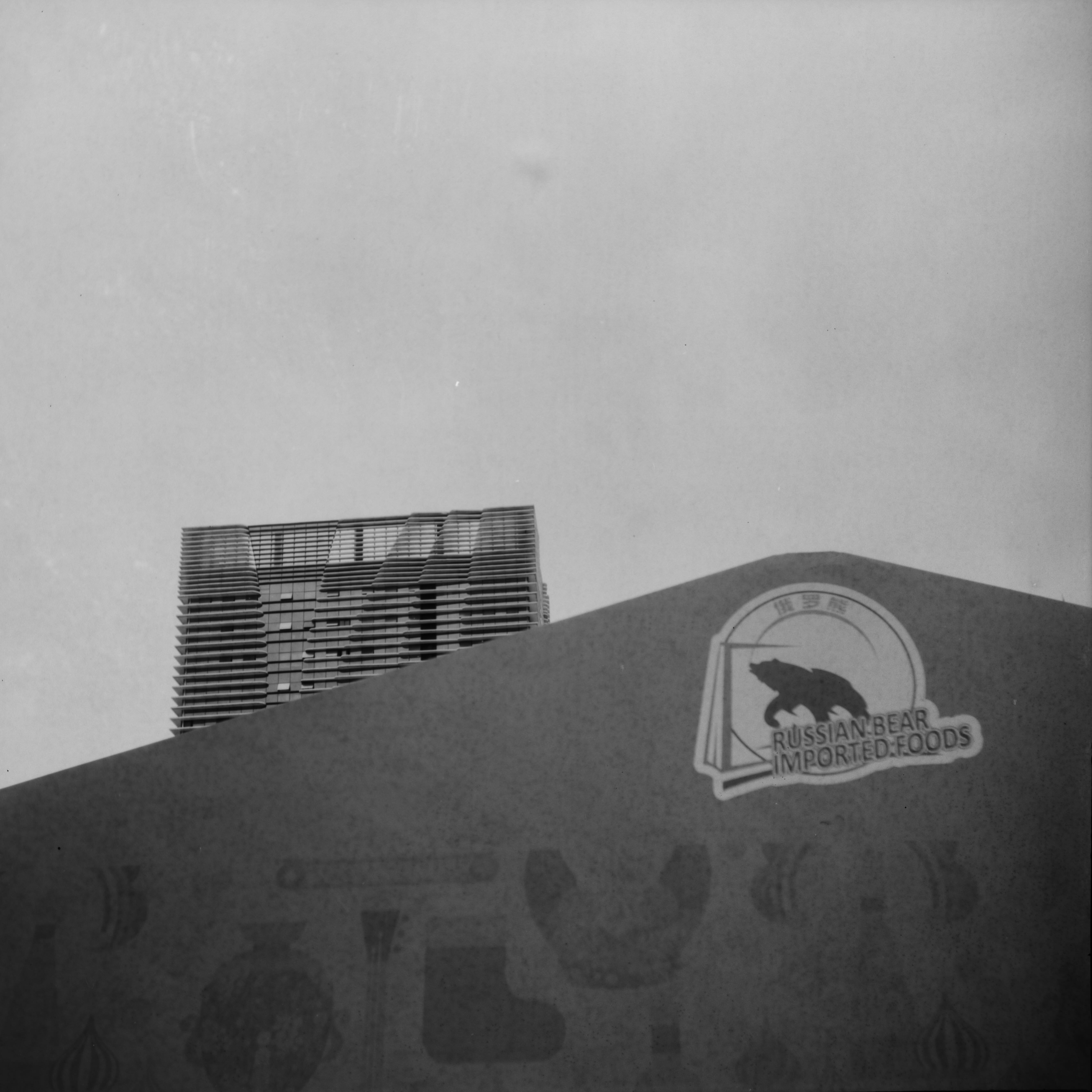 P1135884