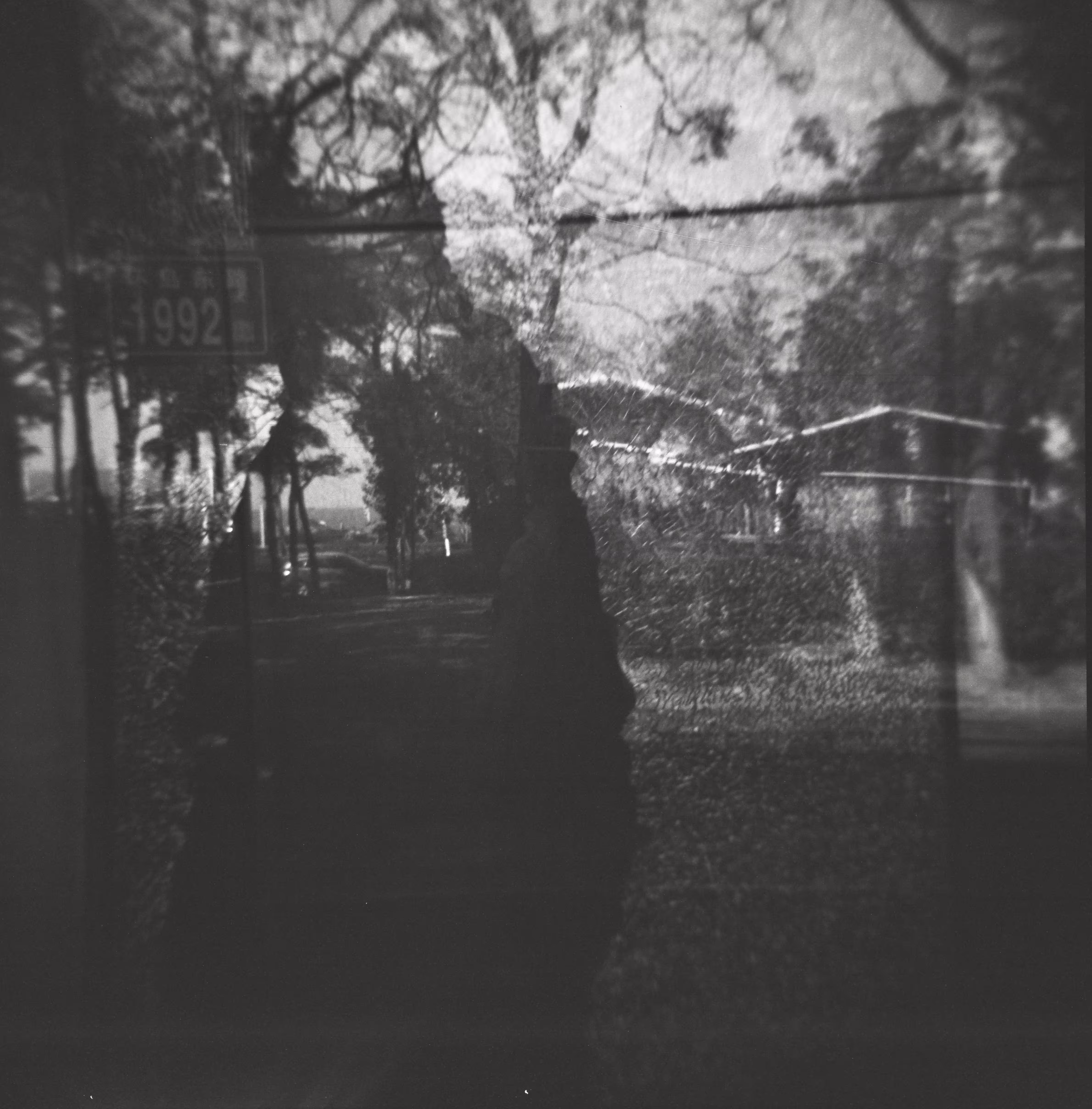 holga 120 sample