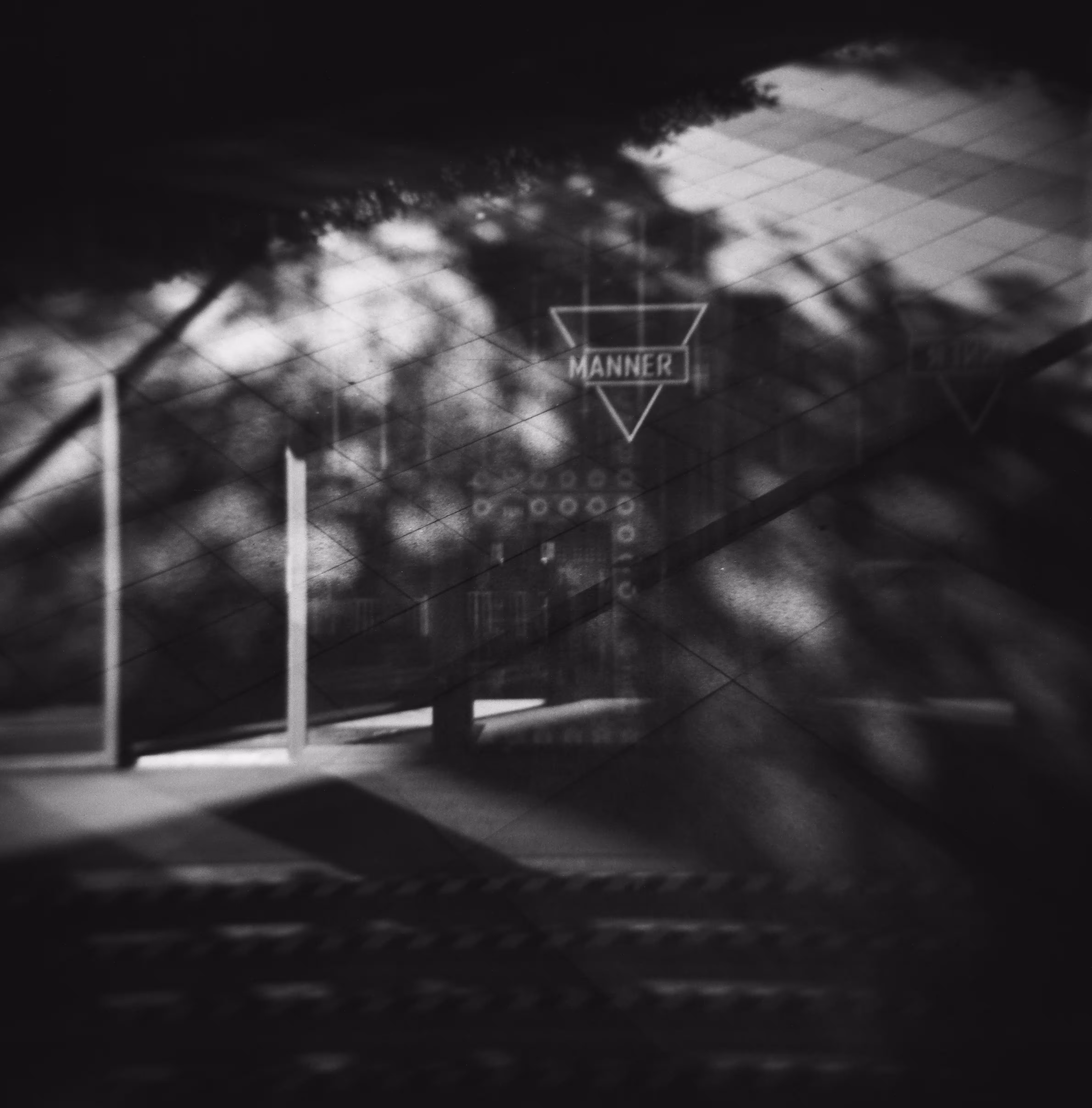 holga 120 sample