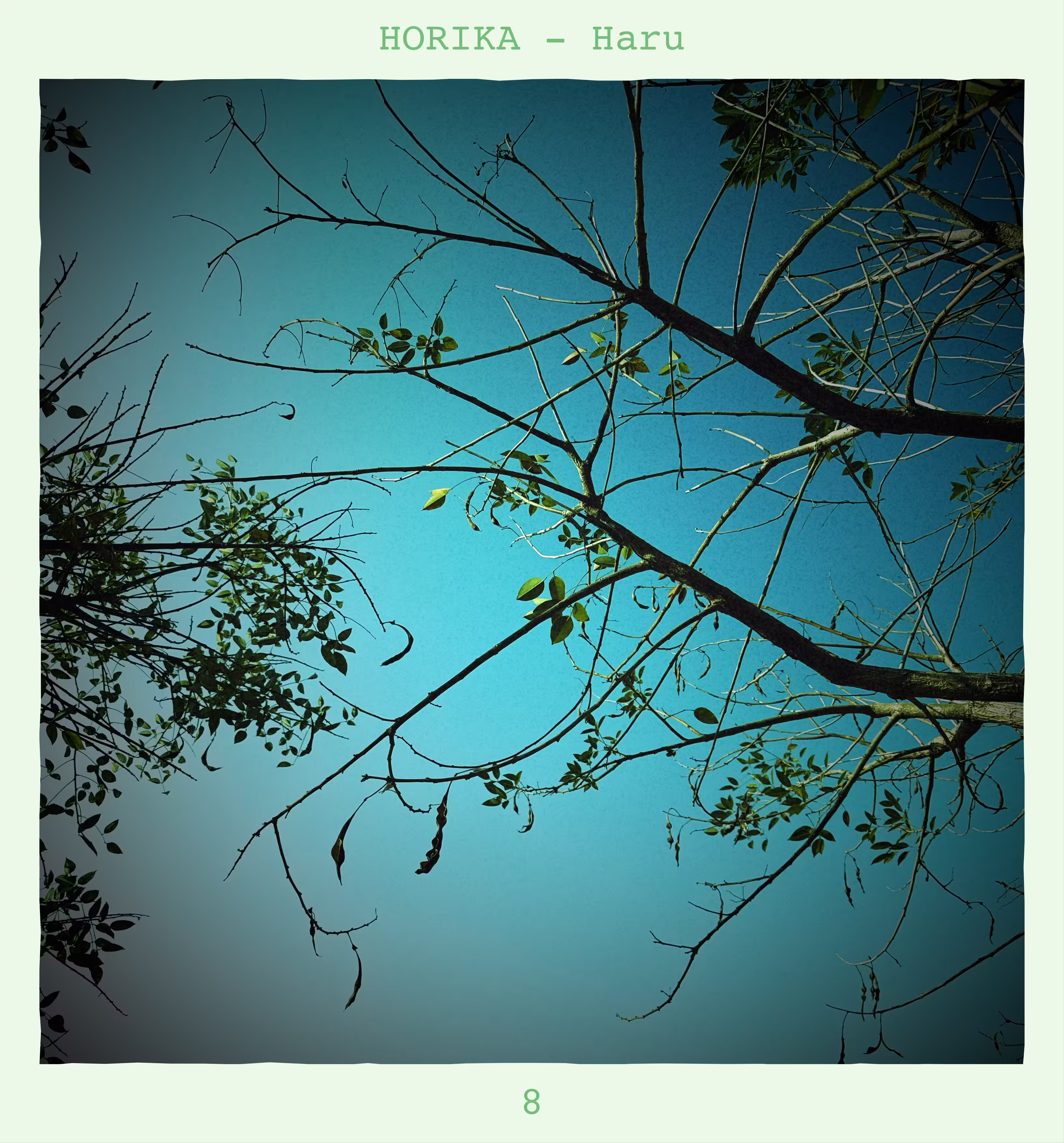 horika-haru-8