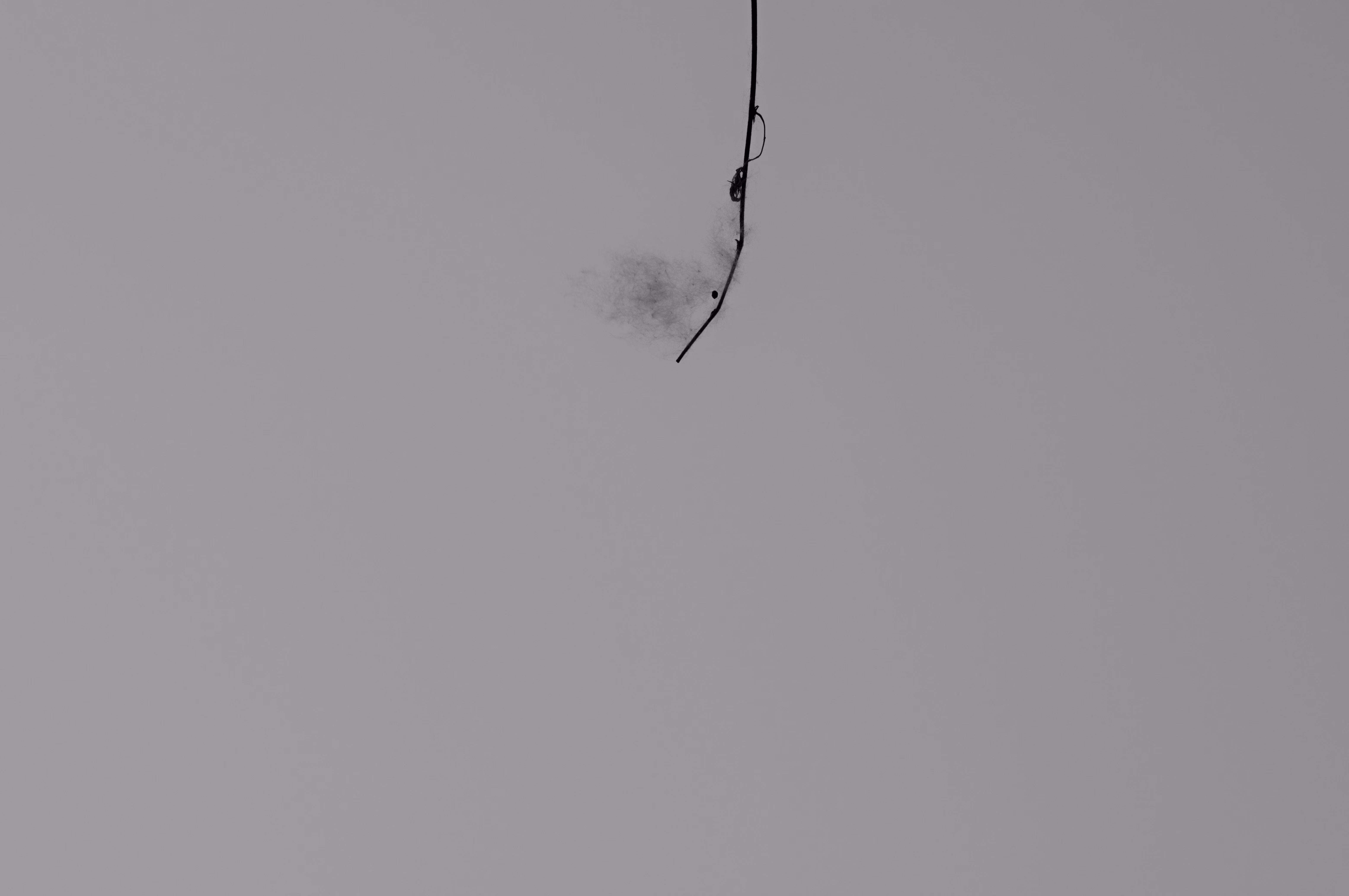 SDIM3759